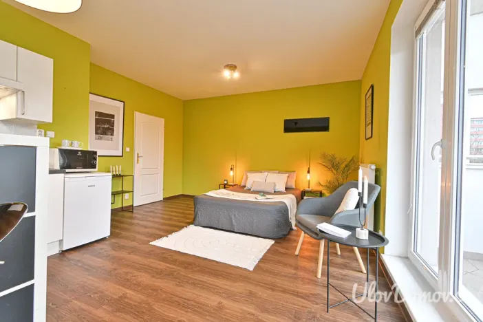 Prodej bytu 1+kk, Praha - Záběhlice, Mikanova, 33 m2