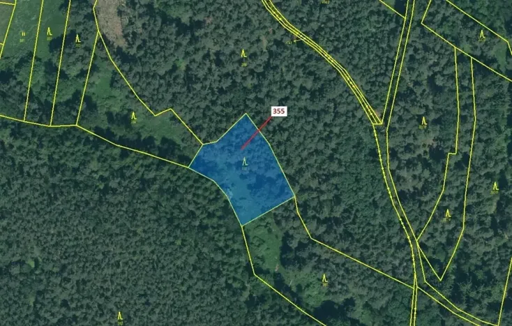 Dražba lesa, Jesenice, 1924 m2