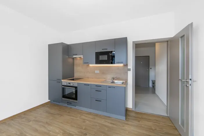 Pronájem bytu 1+kk, Zruč-Senec - Zruč, Sportovní, 42 m2