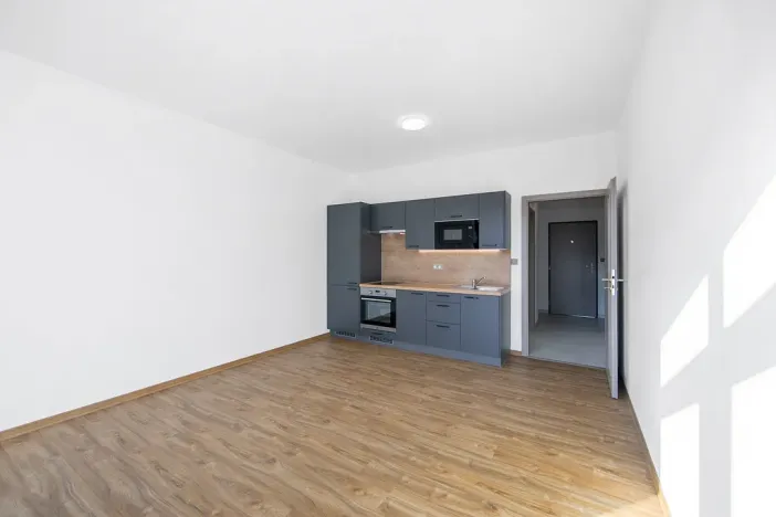 Pronájem bytu 1+kk, Zruč-Senec - Zruč, Sportovní, 42 m2