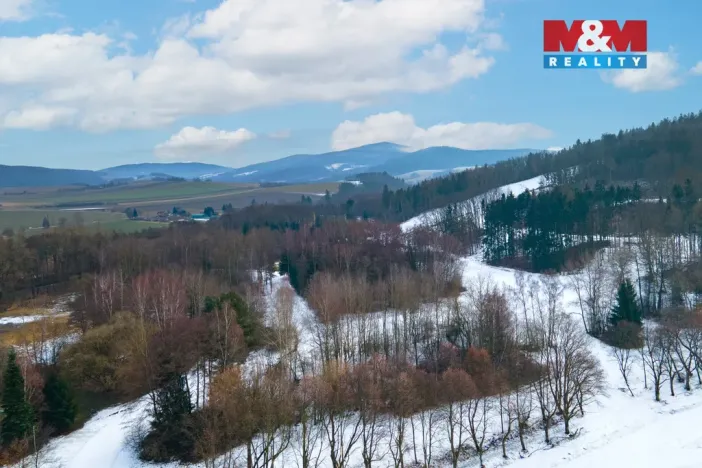 Prodej rodinného domu, Nýrsko, Mikoláše Alše, 115 m2