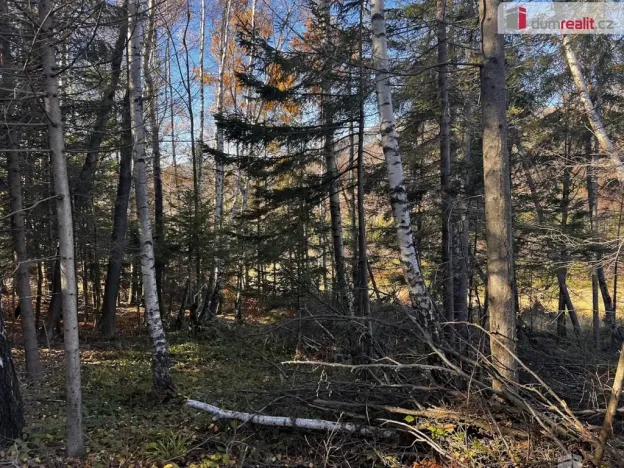 Prodej pozemku pro bydlení, Chvalčov, 3129 m2