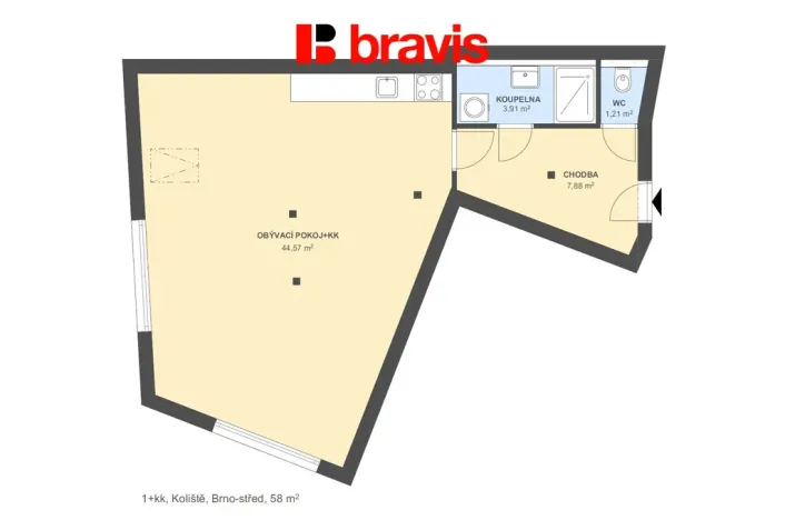 Pronájem bytu 1+kk, Brno, Koliště, 61 m2