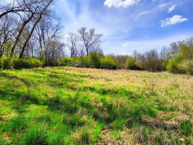 Prodej zahrady, Hostivice, Slunečnicová, 2892 m2