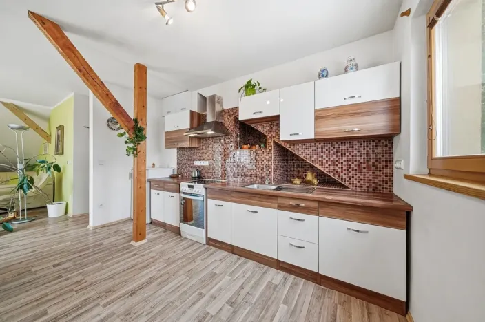 Prodej vícegeneračního domu, Drahanovice - Lhota pod Kosířem, 200 m2