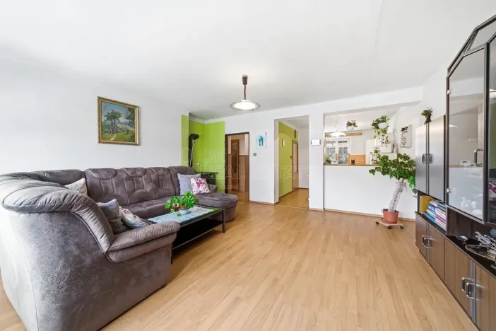 Prodej vícegeneračního domu, Drahanovice - Lhota pod Kosířem, 200 m2