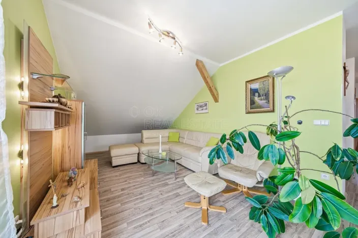 Prodej vícegeneračního domu, Drahanovice - Lhota pod Kosířem, 200 m2