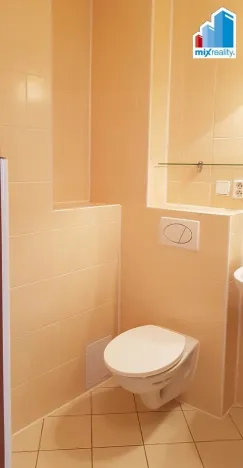 Pronájem bytu 2+kk, Plzeň - Jižní Předměstí, Hálkova, 58 m2