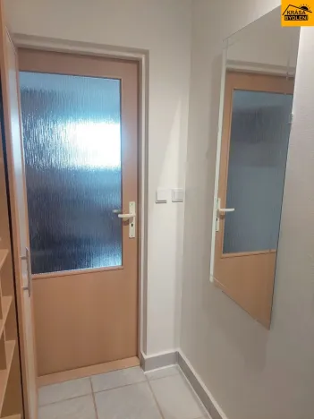 Prodej bytu 1+kk, Brno - Dolní Heršpice, 29 m2