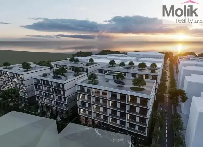 Prodej bytu 3+kk, Golem, 552 m2