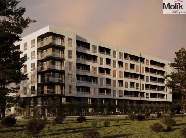 Prodej bytu 2+kk, Golem, 65 m2