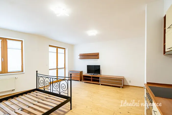 Pronájem bytu 1+kk, Praha - Žižkov, V zahrádkách, 38 m2