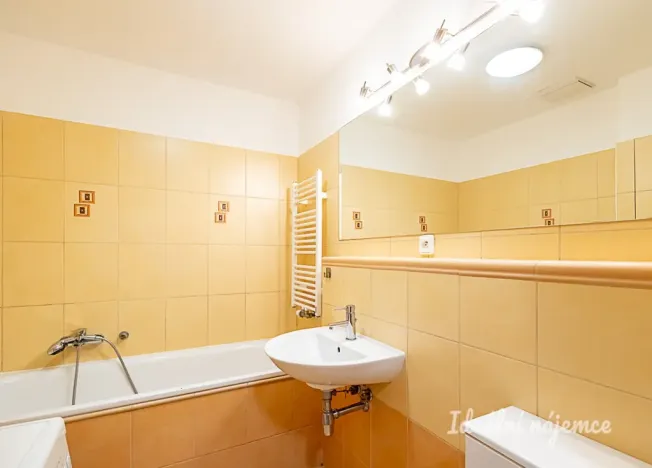 Pronájem bytu 1+kk, Praha - Žižkov, V zahrádkách, 38 m2