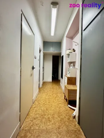 Prodej bytu 2+1, Praha, Boleslavova, 53 m2