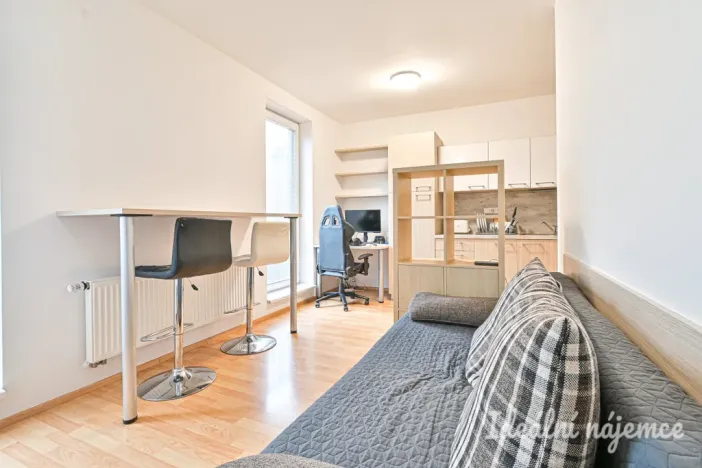 Pronájem bytu 1+kk, Brno - Bystrc, Markůvky, 30 m2