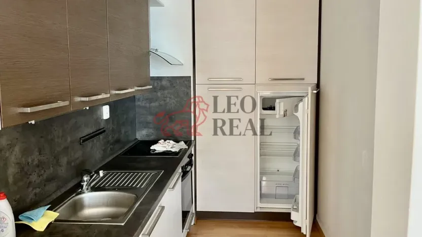 Pronájem bytu 1+kk, Uherské Hradiště - Mařatice, Sadová, 48 m2