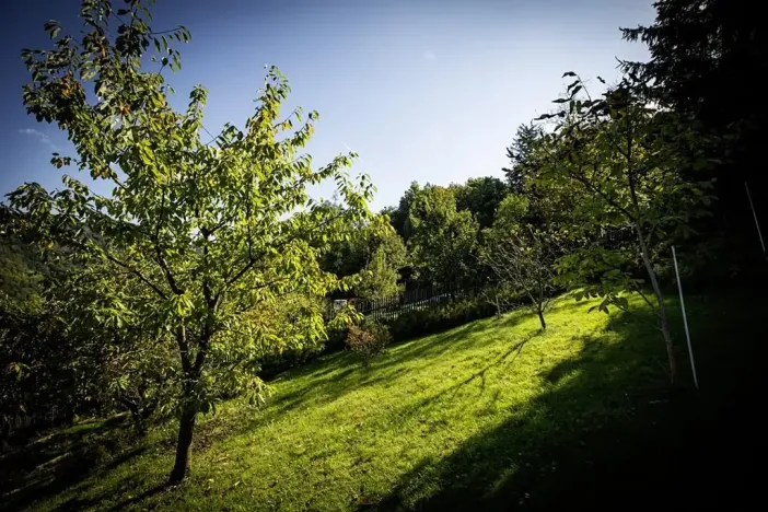 Pronájem bytu 1+1, Děčín, Žlebská, 50 m2