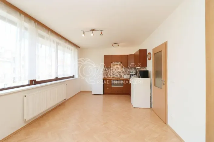 Pronájem bytu 1+kk, Praha, 42 m2