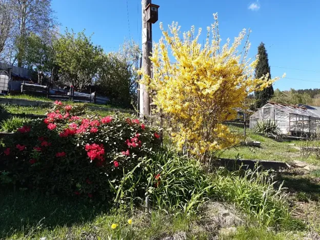 Prodej - jiné, Desná, Sokolská, 18 m2