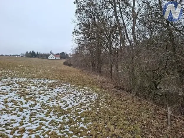 Prodej lesa, Lčovice, 759 m2