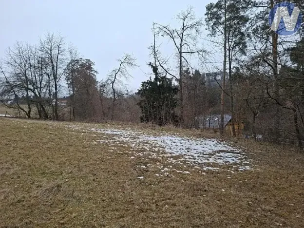 Prodej lesa, Lčovice, 759 m2