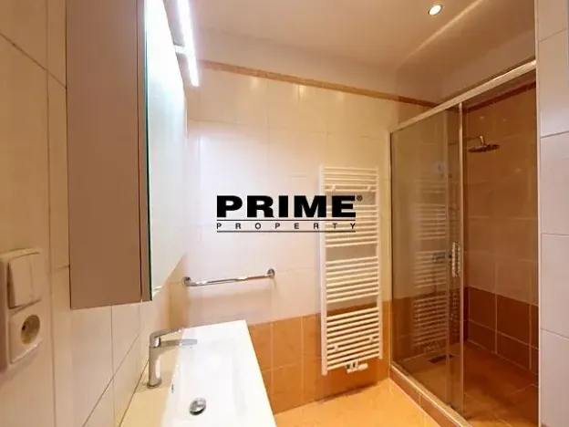 Pronájem bytu 2+1, Praha - Nové Město, Záhořanského, 124 m2