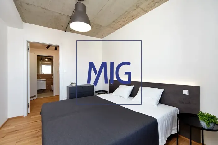 Pronájem bytu 2+kk, Brno, Cejl, 48 m2