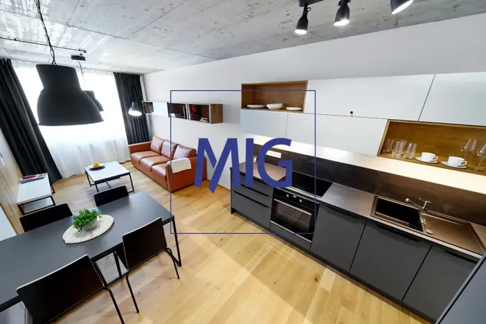 Pronájem bytu 2+kk, Brno, Cejl, 48 m2