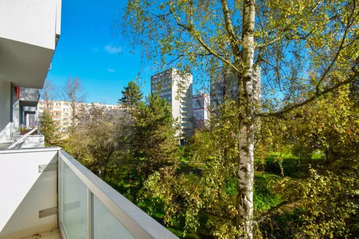 Pronájem bytu 1+1, Ostrava - Zábřeh, Výškovická, 37 m2