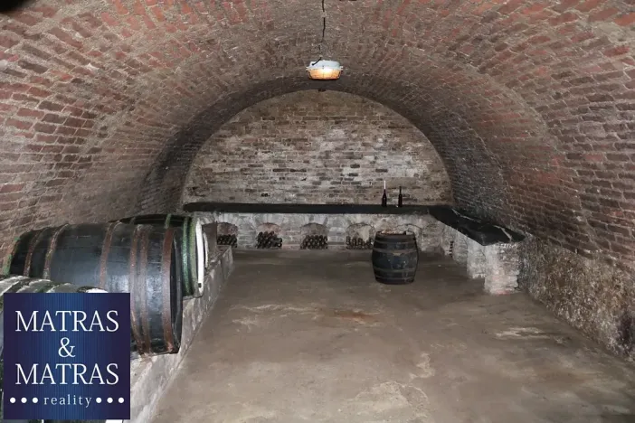 Prodej pozemku pro bydlení, Pavlov, Rudolfa Gajdoše, 59 m2