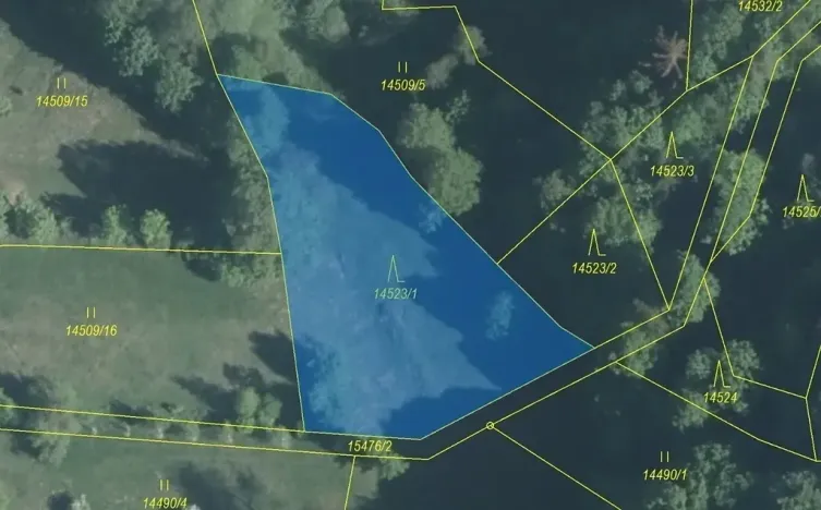 Dražba lesa, Hovězí, 1547 m2