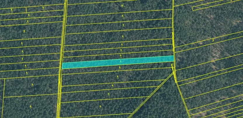 Dražba lesa, Hranice, 4805 m2