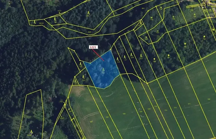 Dražba lesa, Spešov, 1590 m2