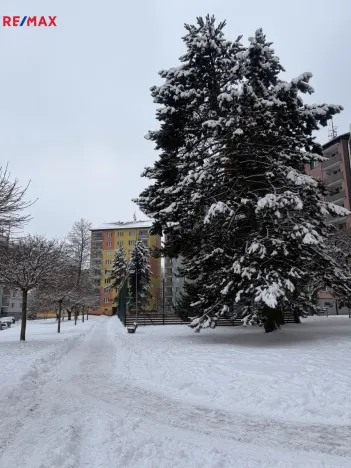 Prodej bytu 3+1, Aš, Dlouhá, 60 m2