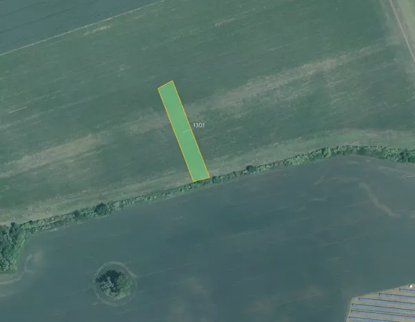 Prodej pole, Žeraviny, 3981 m2