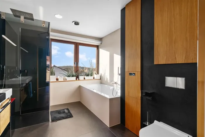 Prodej rodinného domu, Tmaň, Prof. Krbce, 294 m2