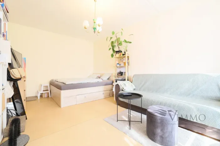 Pronájem bytu 1+1, České Budějovice - České Budějovice 2, V. Volfa, 41 m2