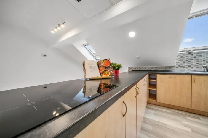 Prodej bytu 4+kk, Brno - Husovice, Nováčkova, 138 m2