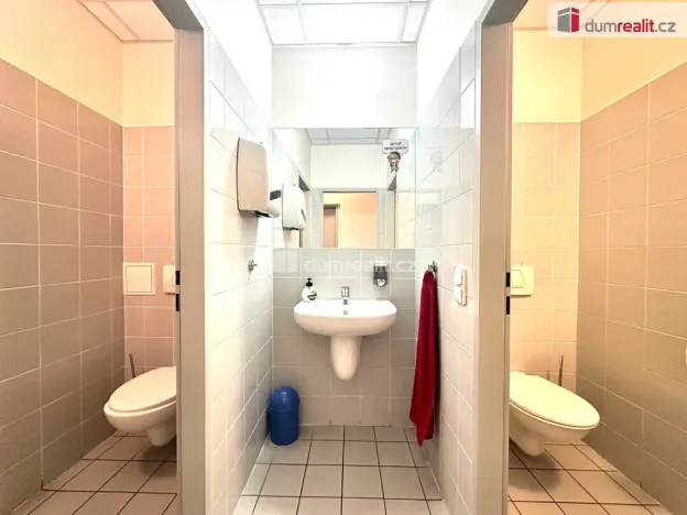 Pronájem kanceláře, Brno - Židenice, Bubeníčkova, 193 m2