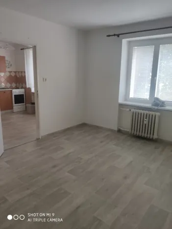 Pronájem bytu 1+1, Pardubice - Bílé Předměstí, Dašická, 37 m2