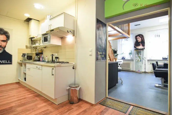 Prodej bytu 2+1, Brno - Staré Brno, Hybešova, 79 m2