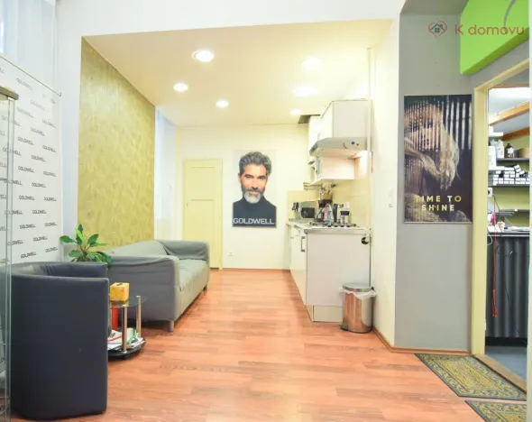 Prodej bytu 2+1, Brno - Staré Brno, Hybešova, 79 m2