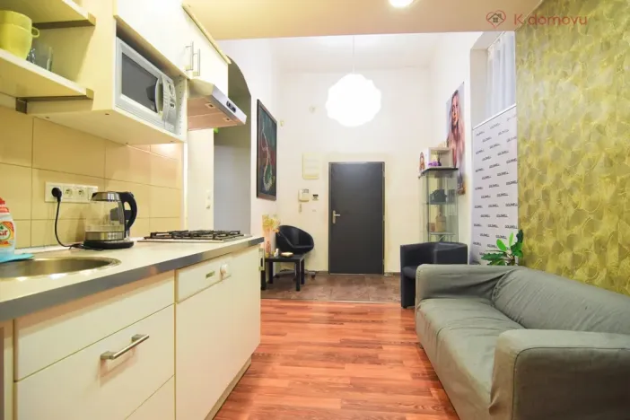 Prodej bytu 2+1, Brno - Staré Brno, Hybešova, 79 m2