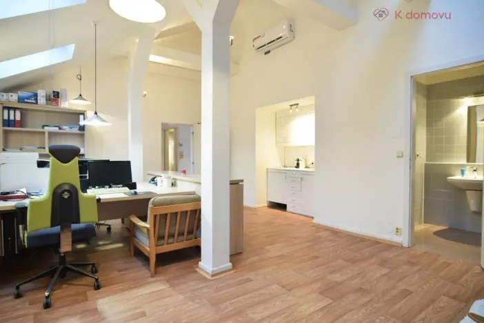 Pronájem bytu 2+kk, Brno - Staré Brno, Pekařská, 92 m2