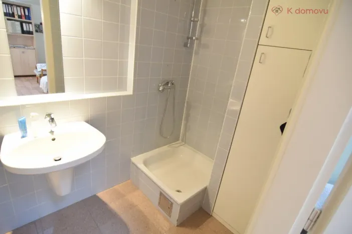 Pronájem bytu 2+kk, Brno - Staré Brno, Pekařská, 92 m2