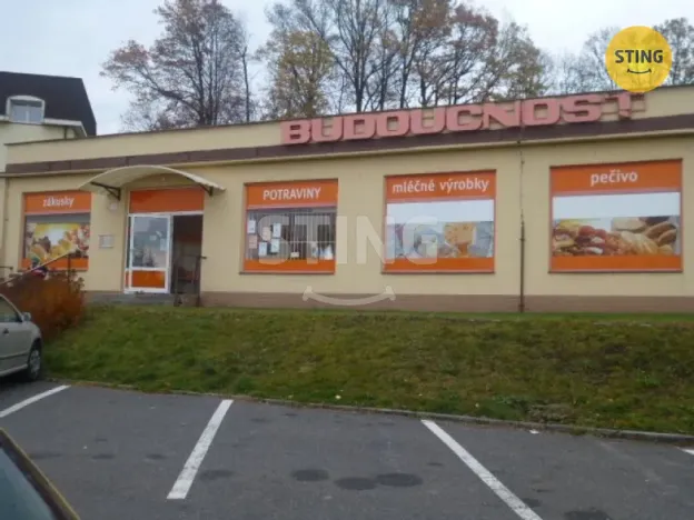 Pronájem skladu, Ostrava, Staroveská, 46 m2