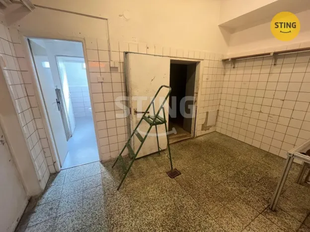 Pronájem skladu, Ostrava, Staroveská, 46 m2