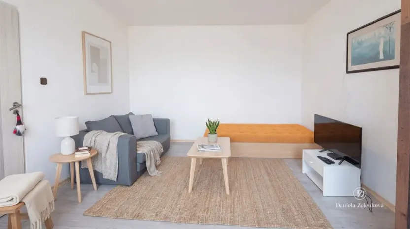 Prodej bytu 1+1, České Budějovice - České Budějovice 3, Plzeňská, 30 m2