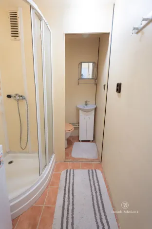 Prodej bytu 1+1, České Budějovice - České Budějovice 3, Plzeňská, 30 m2