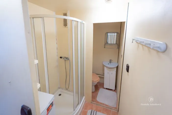 Prodej bytu 1+1, České Budějovice - České Budějovice 3, Plzeňská, 30 m2